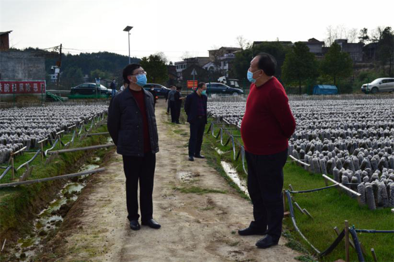 刘德胜一行驱车20余公里,来到与邵阳县交界的罗市镇盘比村,指导该村